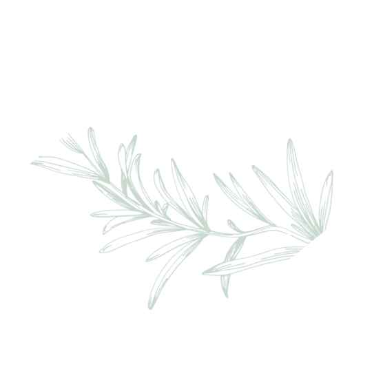 graphic of a rosemary